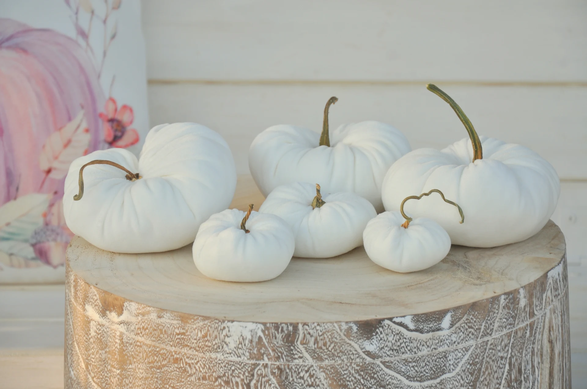 Zamatové tekvičky Lujzičky, sada 6kusov 2