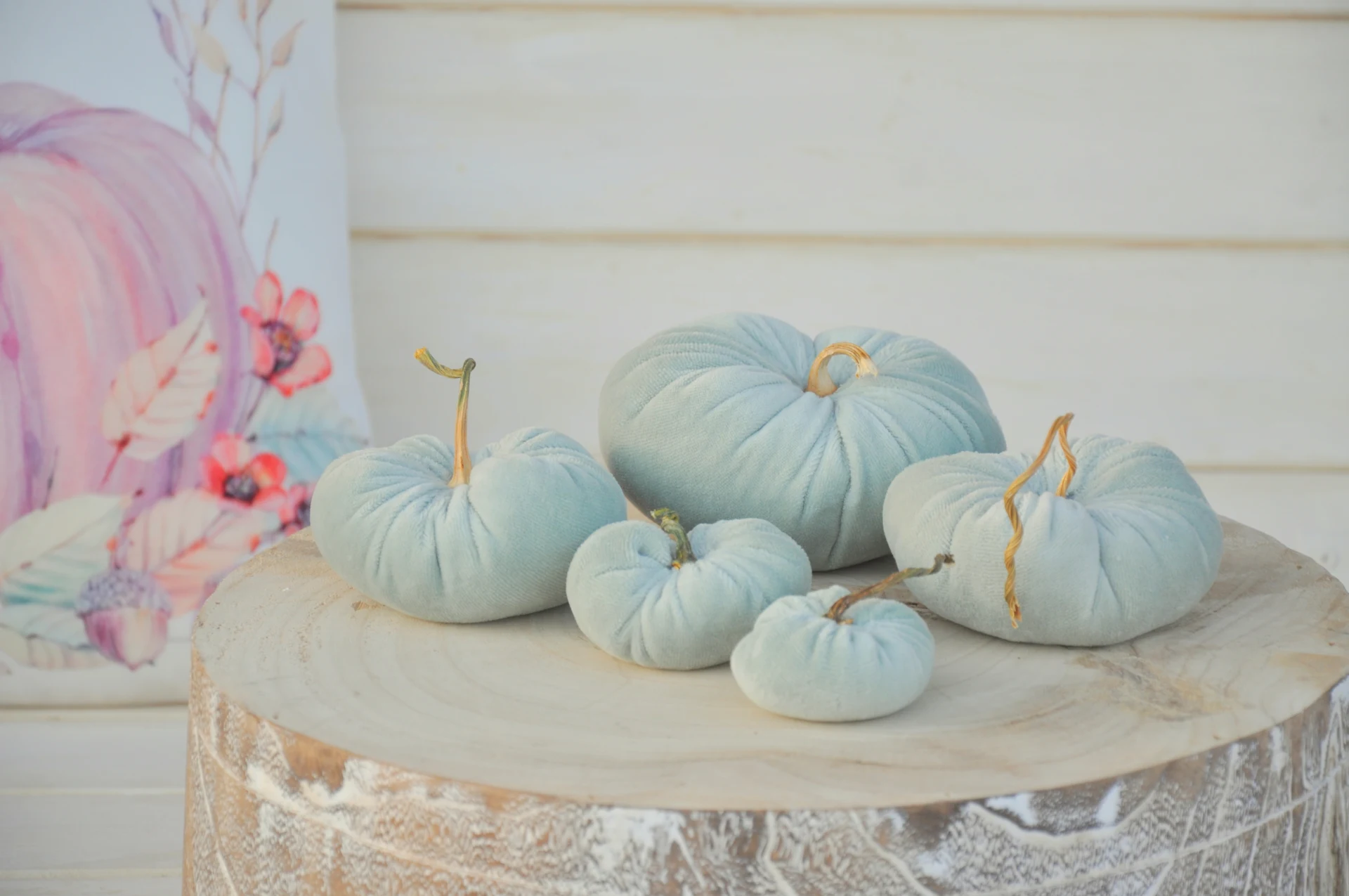 Zamatové tekvičky Emilky, sada 5kusov