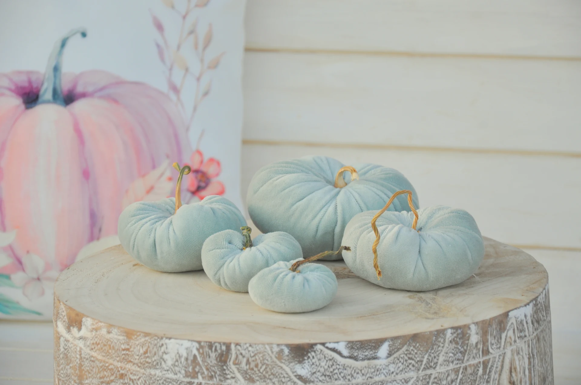 Zamatové tekvičky Emilky, sada 5kusov 2