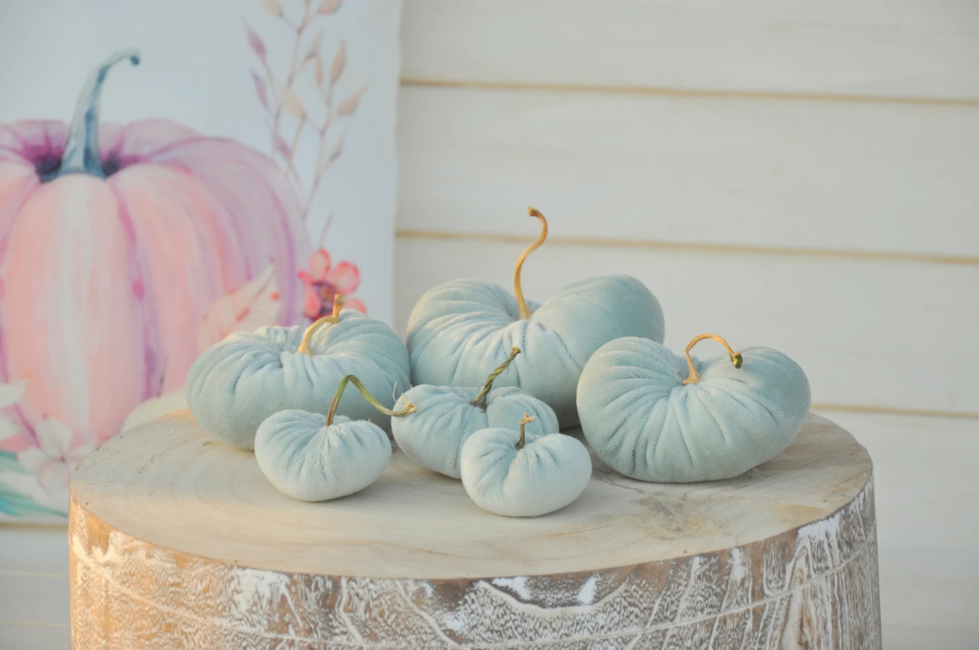 Zamatové tekvičky Kornélie, sada 6kusov